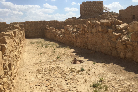 Masada e Mar Morto Tour di un&#039;intera giornata per piccoli gruppi fr. Porto di Ashdod