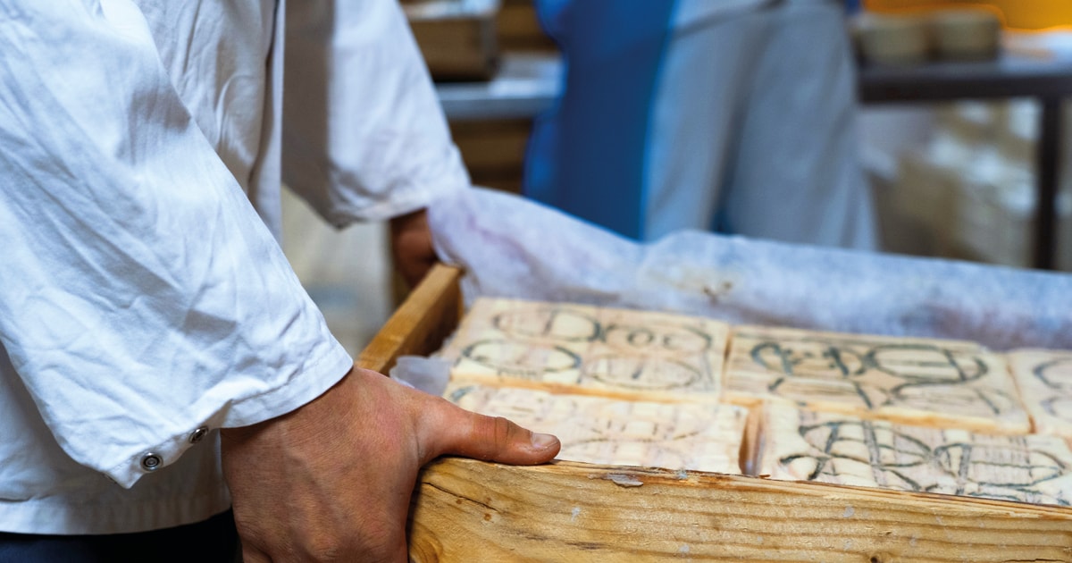 Lake Como Cheese Factory tour and Tasting in Valsassina GetYourGuide