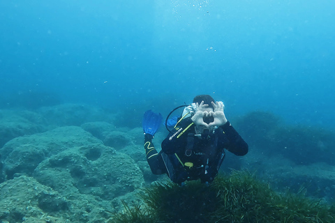 PADI Scuba Diving Program for Beginners in PeloponessePADI Discover Scuba Diving for beginners