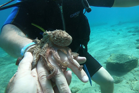 Heraklion: Lección de buceo para principiantes con instructor PADIInmersión para principiantes en la bahía de Agia pelagia - Sin traslado