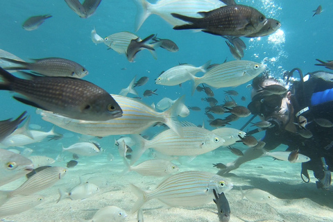 Heraklion: Lección de buceo para principiantes con instructor PADIInmersión para principiantes en la bahía de Agia pelagia - Sin traslado