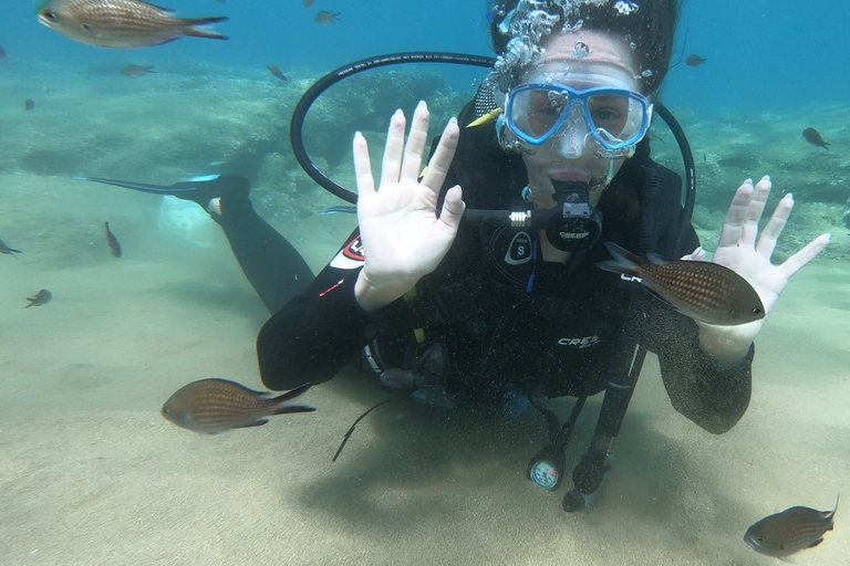 Heraklion: Lección de buceo para principiantes con instructor PADIInmersión para principiantes en la bahía de Agia pelagia - Sin traslado