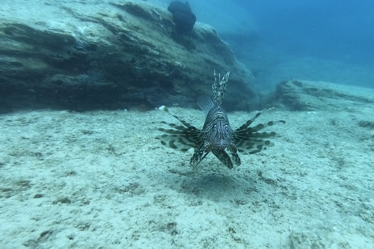 Heraklion: Lección de buceo para principiantes con instructor PADIInmersión para principiantes en la bahía de Agia pelagia - Sin traslado