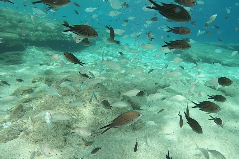 Heraklion: Lección de buceo para principiantes con instructor PADIInmersión para principiantes en la bahía de Agia pelagia - Sin traslado