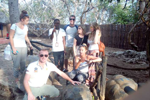 Zanzibar: Excursão a pé pela cidade histórica de Stone Town e almoço.Excursão a pé histórica em Zanzibar StoneTown com almoço local