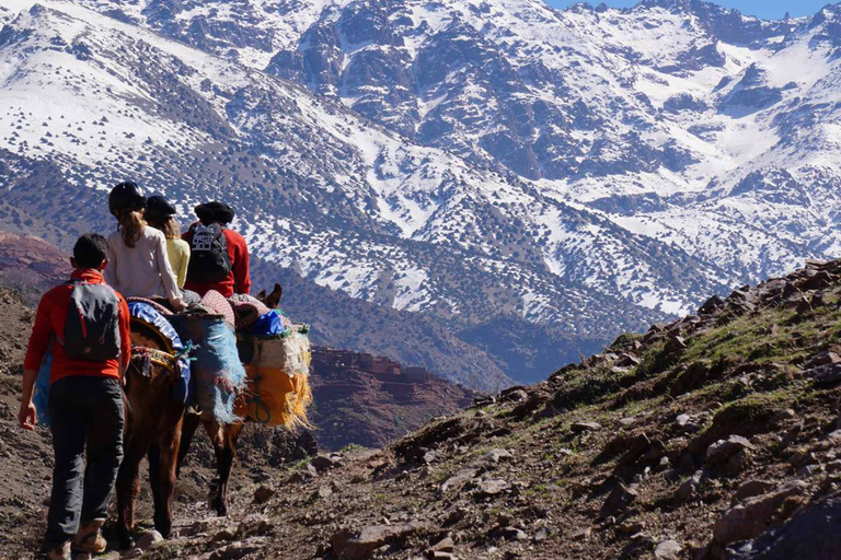 Mt Toubkal Ascent Express Trek 2Day 1 Night Allt inkluderat