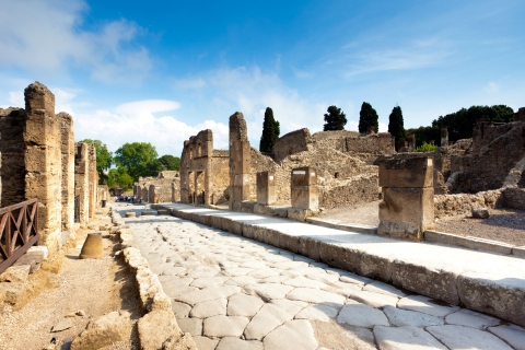 Excursion à Sorrente et Pompéi : Limoncello et plats romains antiques