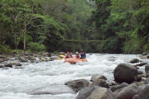 Rafting Costa Rica + Wildlife Safari Experience & Paradise H