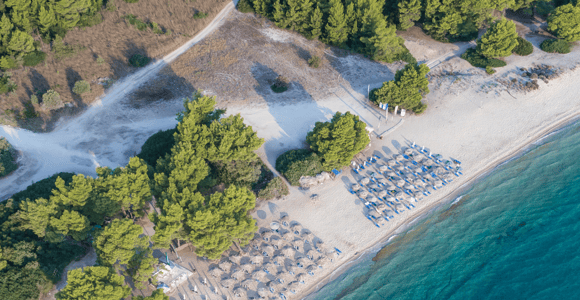 From Thessaloniki: Private Day Trip in Kassandra, Chalkidiki