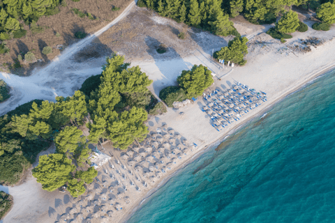 From Thessaloniki: Private Day Trip to Kassandra Chalkidiki