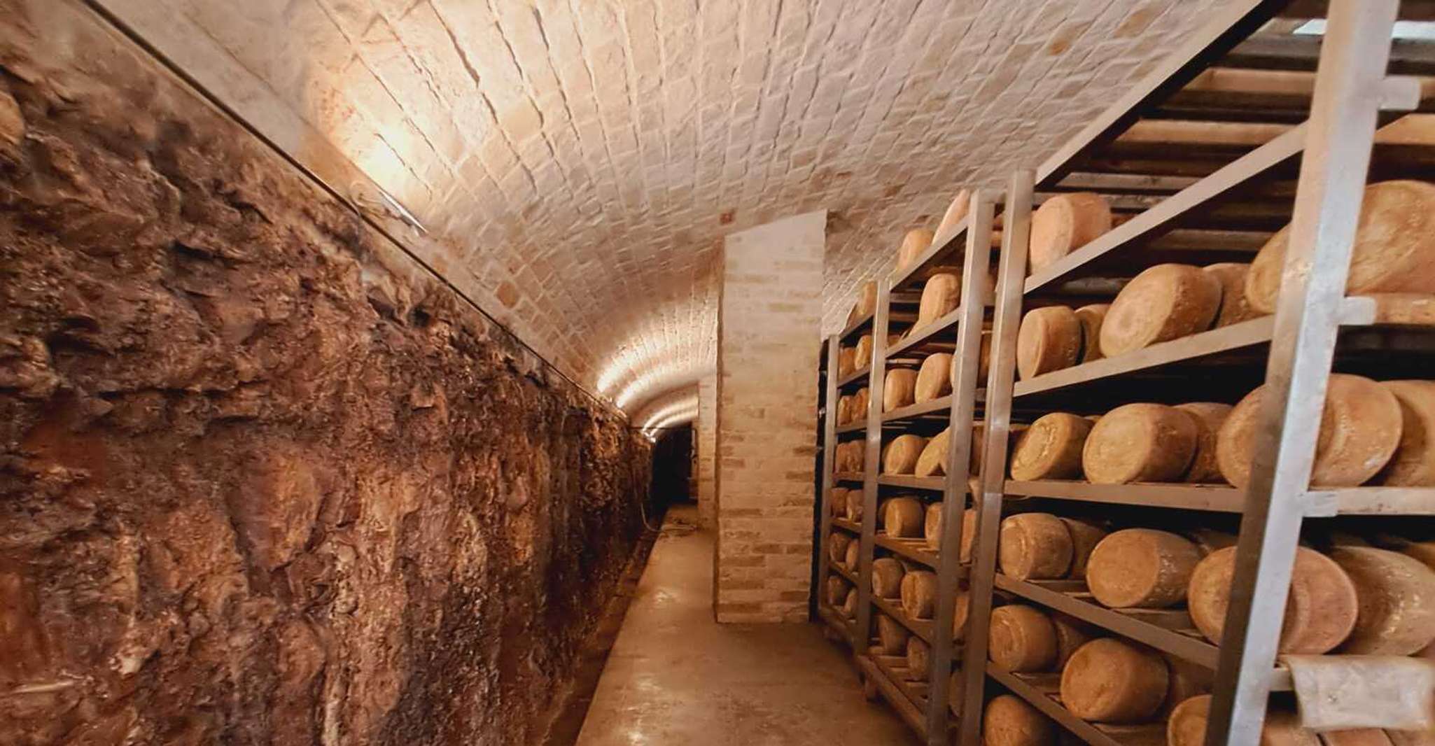 Desde Bari, experiencia de queso Burrata en una granja lechera local - Hizvo