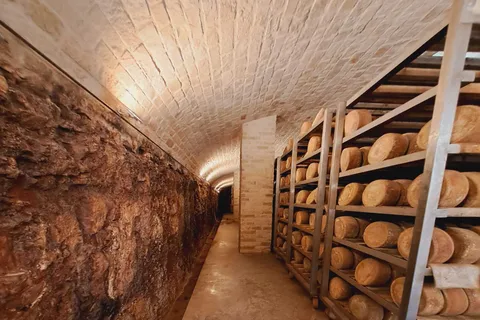 From Bari: Burrata cheese experience in a local dairy farm