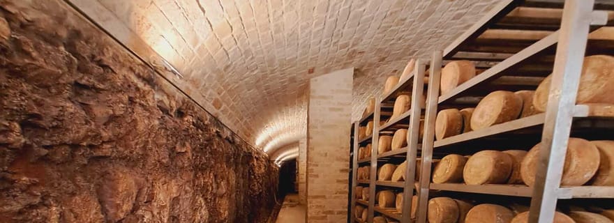 Depuis Bari : expérience de fromage Burrata et confetti