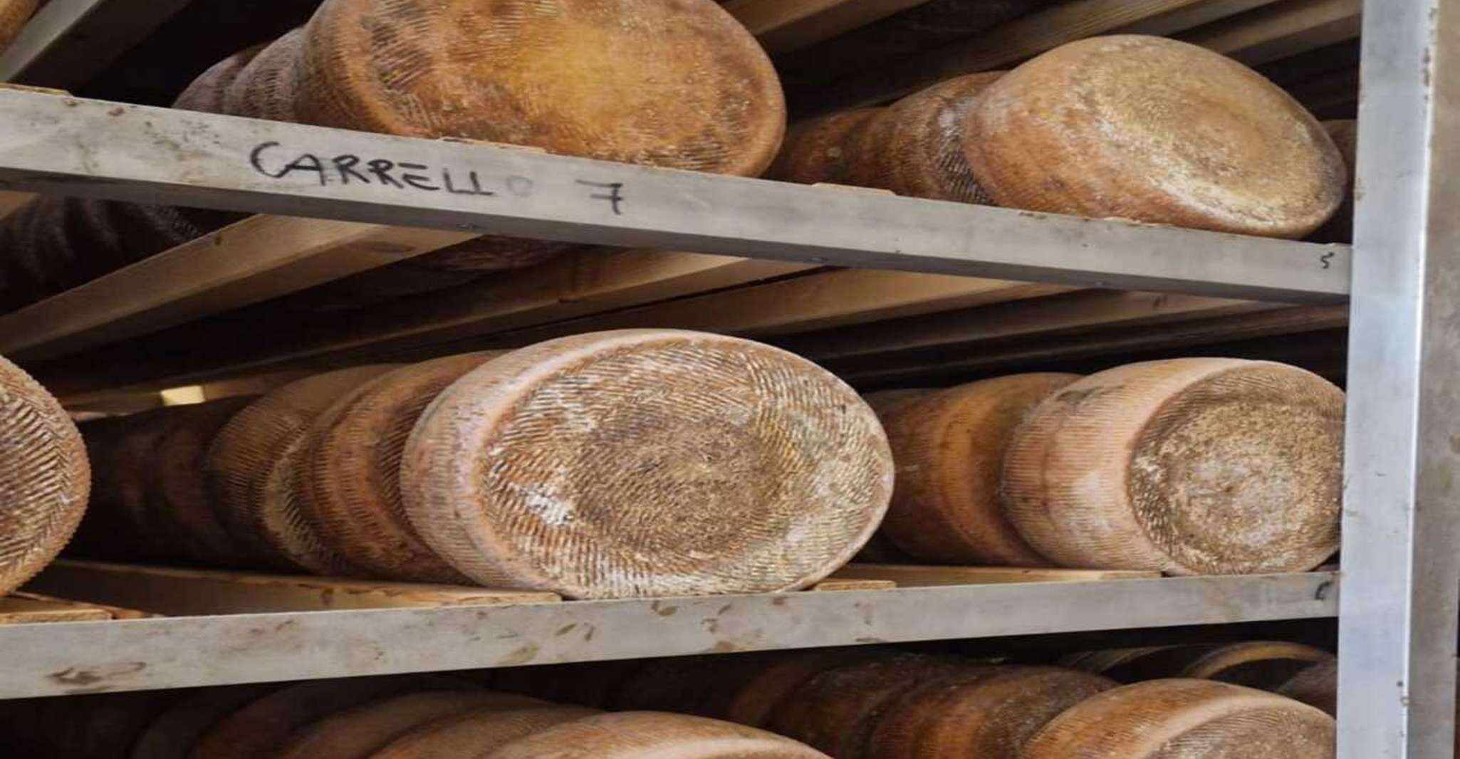 Desde Bari, experiencia de queso Burrata en una granja lechera local - Hizvo
