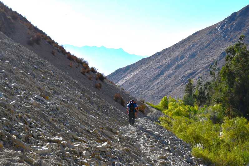 From Pisco Elqui: Cochiguaz River Valley Nature Hike