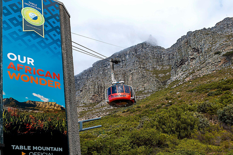 Le Cap : visite privée de Robben Island et de la Montagne de la Table