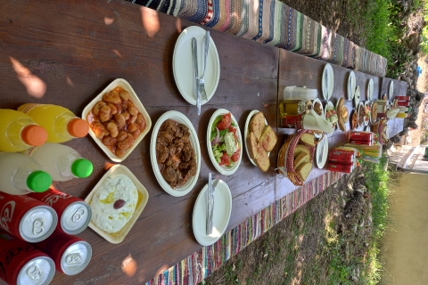 Laganas: aventure en buggy tout-terrain à Zakynthos avec déjeuner