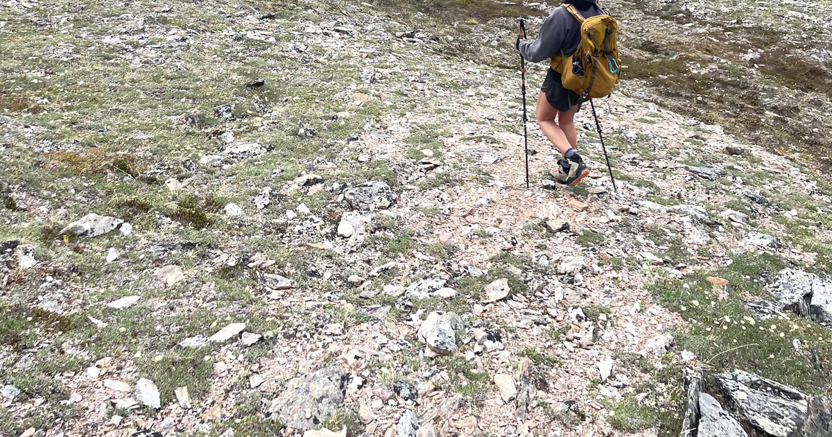 Denali Range 8Hour Guided Hiking Tour in Denali GetYourGuide