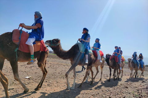 Excursión de un día al Atlas, paseo en camello y pueblos bereberes