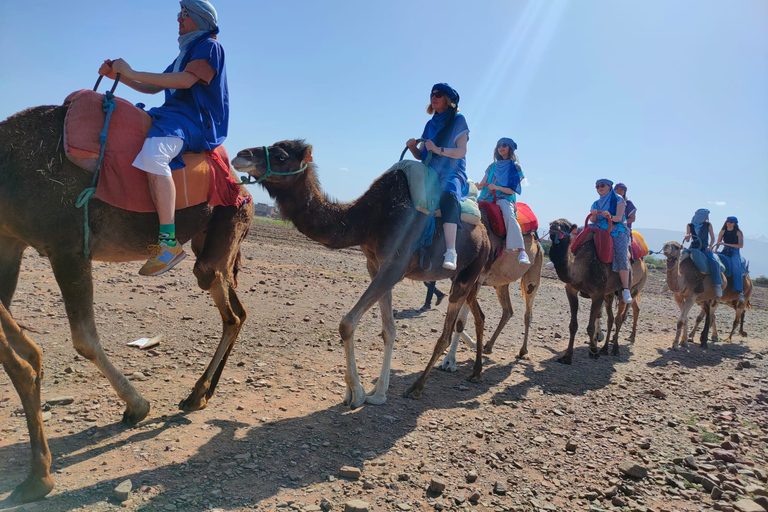 Excursión de un día al Atlas, paseo en camello y pueblos bereberes