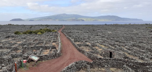 Visit Tours on Pico Island - Cultural and Natural Landscape in Faial Island, Azores