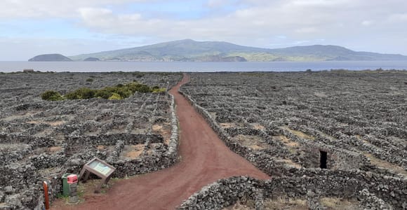 Pico Island: Full-Day Cultural and Natural Landscape Tour