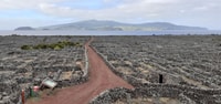 Visites sur l'île Pico - paysage culturel et naturel - Housity