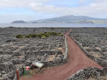 Excursiones por la Isla de Pico - Paisaje Cultural y Natural