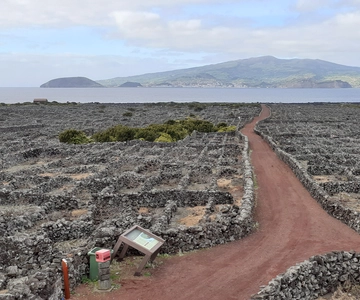 Tours on Pico Island - Cultural and Natural Landscape