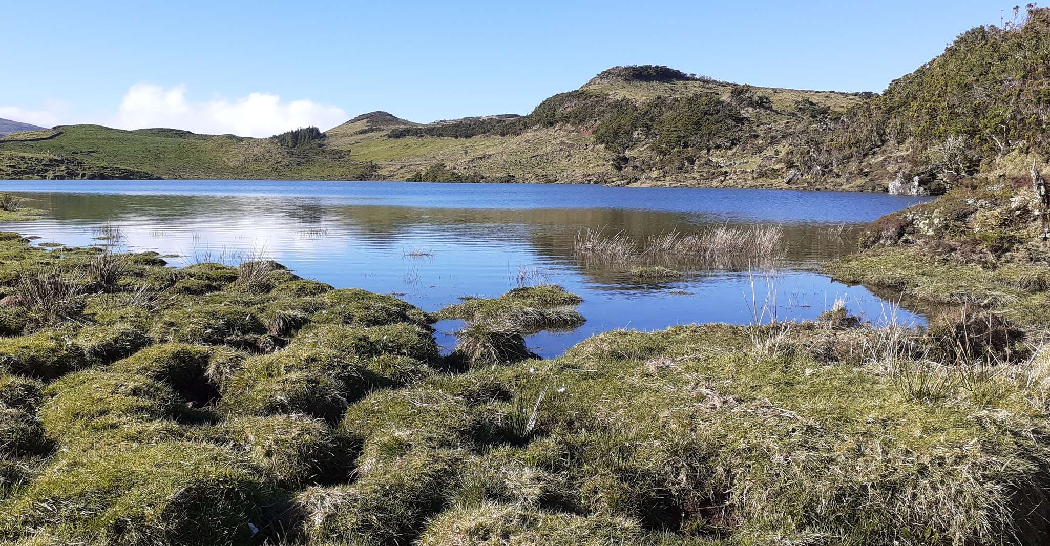 Tours on Pico Island - Cultural and Natural Landscape - Housity