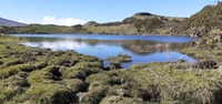 Visites sur l'île Pico - paysage culturel et naturel - Housity