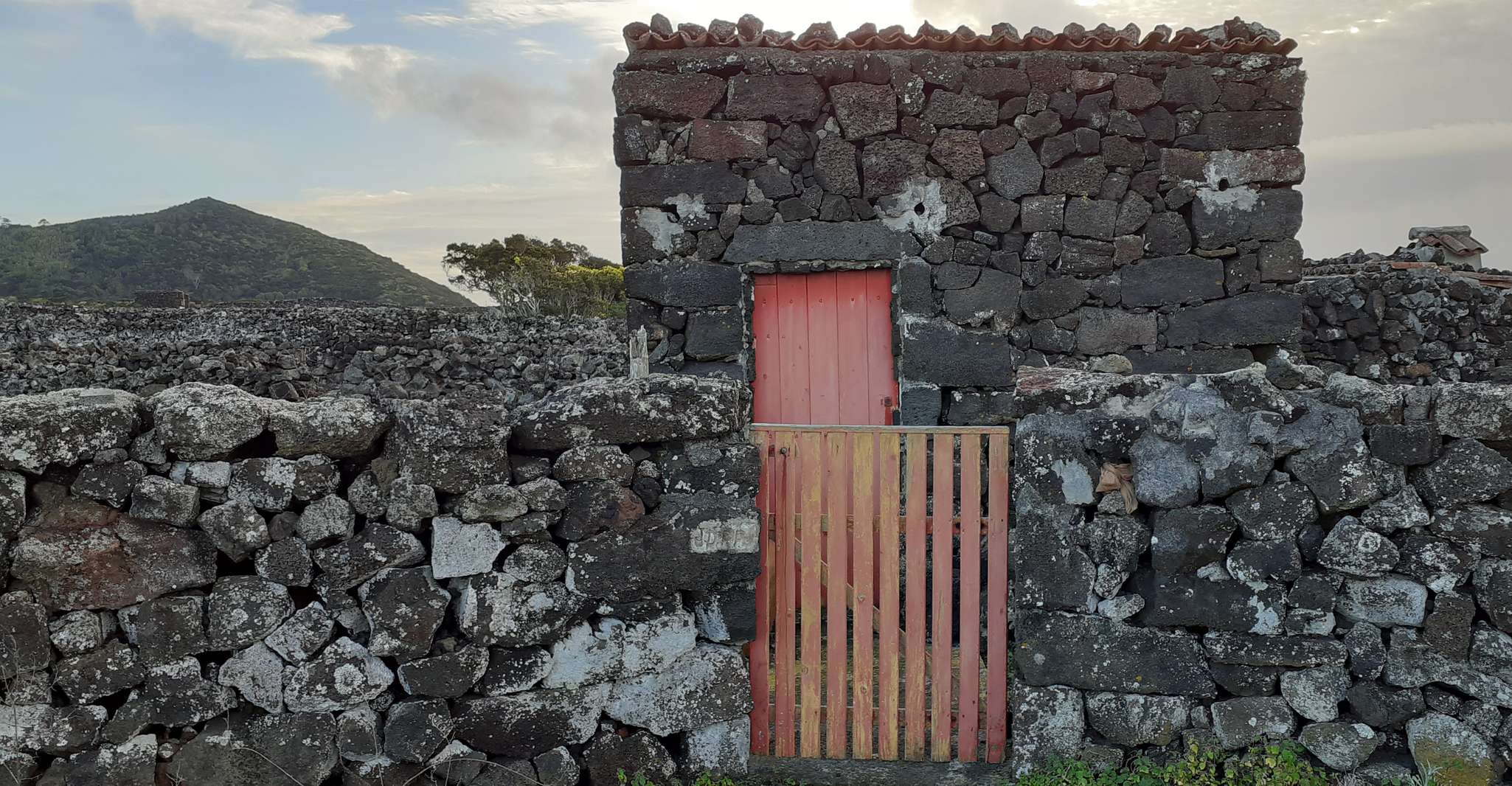 Tours on Pico Island - Cultural and Natural Landscape - Housity