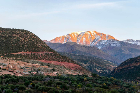 Excursión de un día al Atlas, paseo en camello y pueblos bereberes