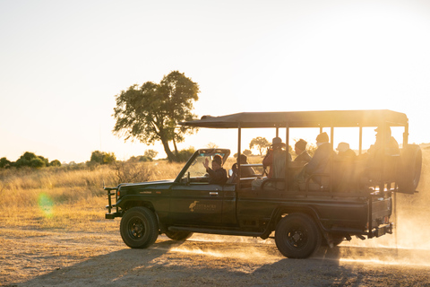 From Victoria Falls: Game drive & Rhino Walk Experience Private Tour