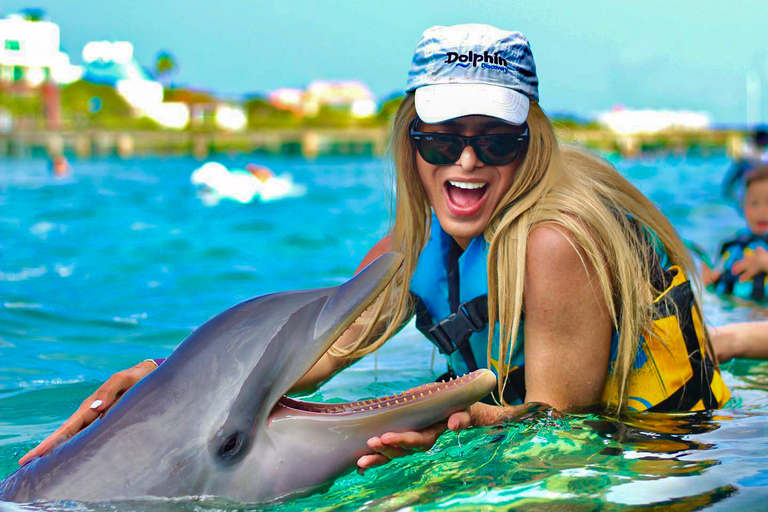 Dolphin Royal Swim VIP en Isla Mujeres