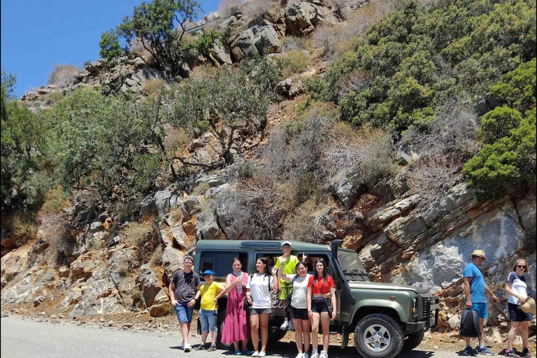 Excursion étonnante d'une demi-journée en safari avec prise en charge et retour gratuits