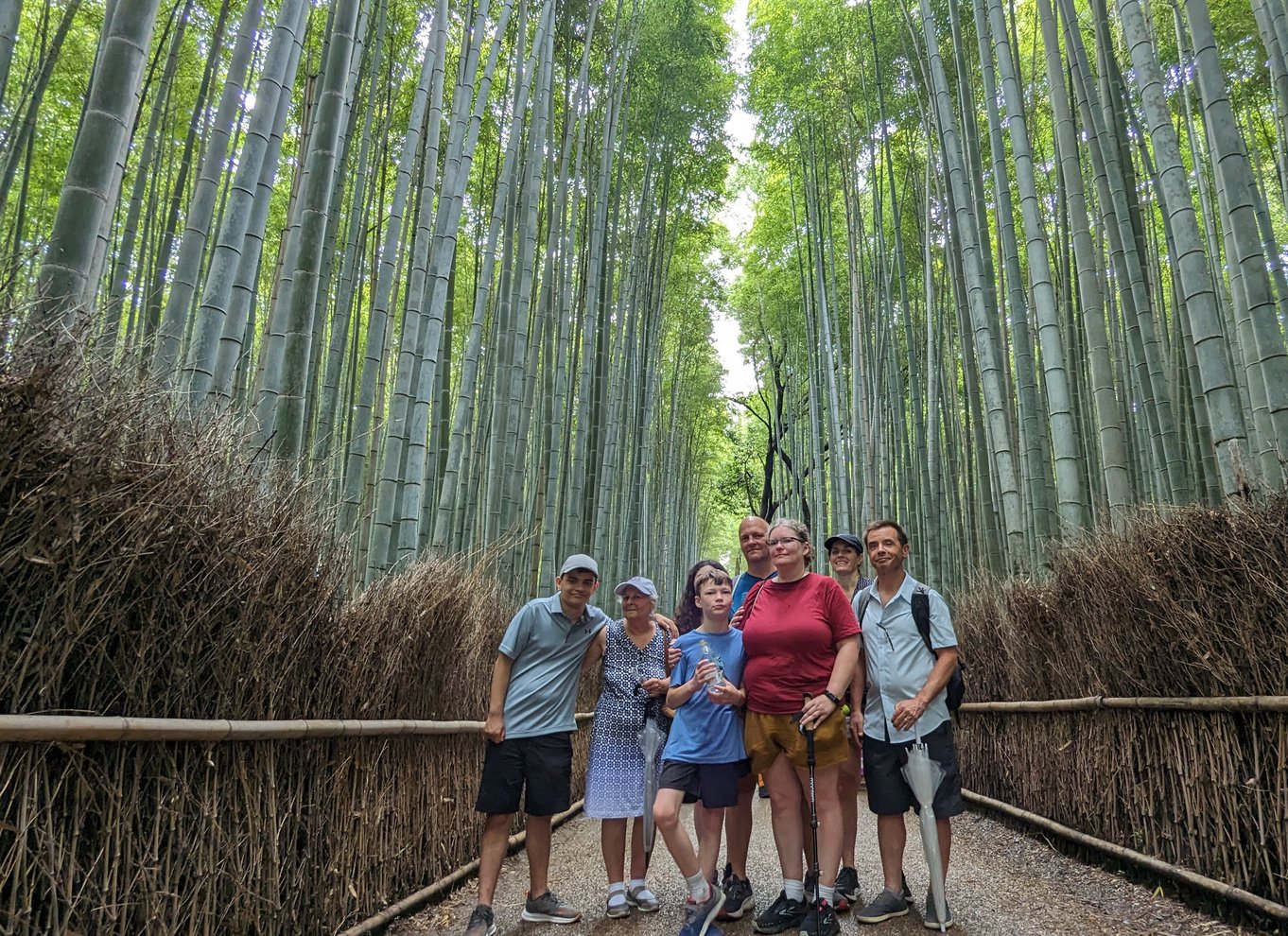 Kyoto: Arashiyama bambus, tempel, matcha, aber og hemmeligheder