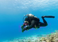 El Gouna, immersione o snorkeling 2 punti in barca con pranzo - Housity
