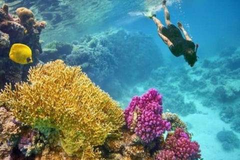 El Gouna: Nurkowanie lub snorkeling 2 miejsca Wycieczka łodzią z lunchemHurghada: nurkowanie lub snorkeling w 2 miejscach Rejs statkiem z lunchem