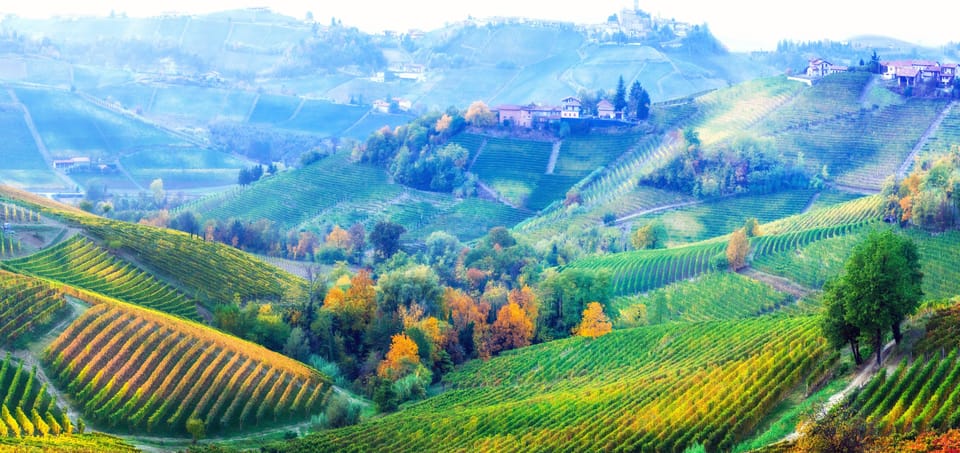 Barolo cave à vin Dégustation, ville d'Alba et château de l'Unesco - Hizvo
