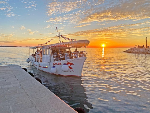 Visit From Fažana: Dolphin Sunset Cruise to Brijuni National Park in Fazana
