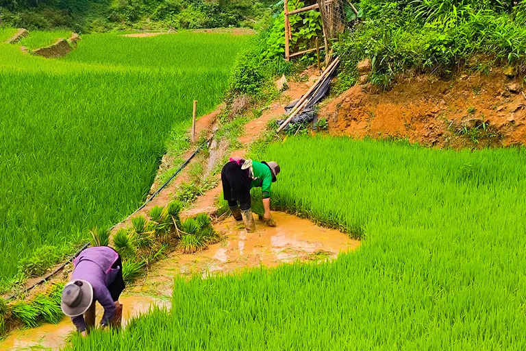 Von Hanoi: 3 Nächte 3 Tage Sapa Tour mit dem Nachtzug