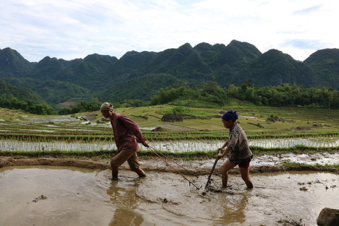 Von Hanoi: 3 Nächte 3 Tage Sapa Tour mit dem Nachtzug