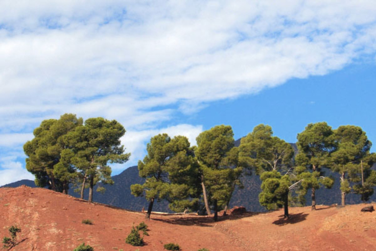 Visita al Valle de Ourika Almuerzo Incluido Y Camello