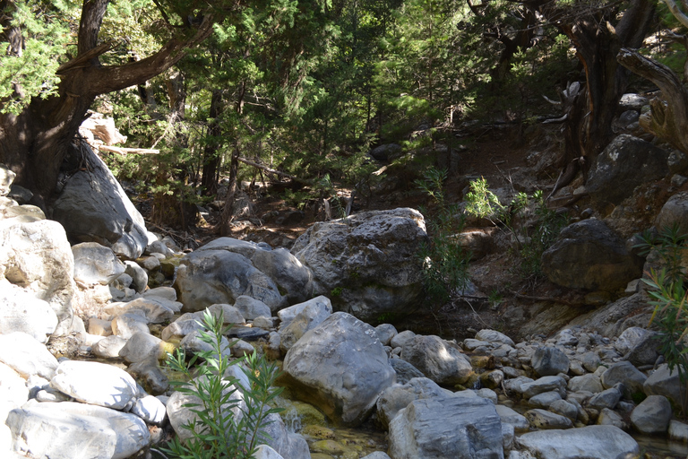 From Chania : Full-Day Samaria Gorge Hike