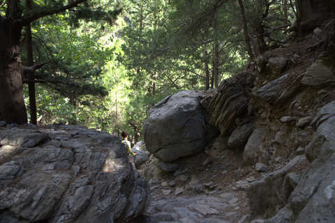 Desde Chania : Excursión de un día a la Garganta de Samaria