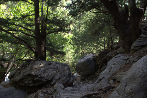 From Chania : Full-Day Samaria Gorge Hike