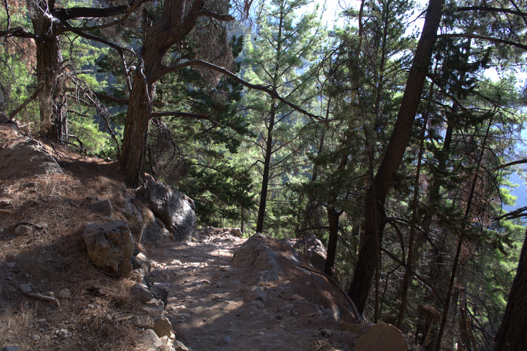 From Chania : Full-Day Samaria Gorge Hike