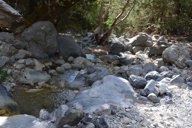 Desde Chania : Excursión de un día a la Garganta de Samaria