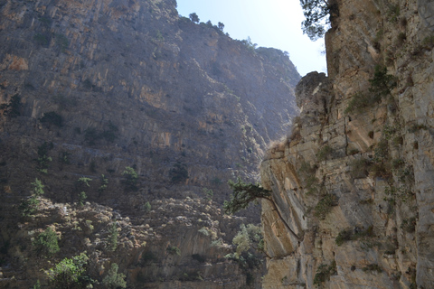 Desde Chania : Excursión de un día a la Garganta de Samaria